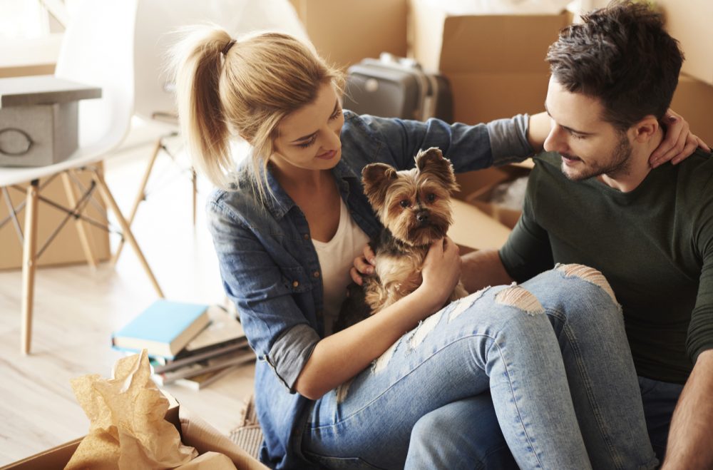 consejos para elegir vivienda si tiene mascota