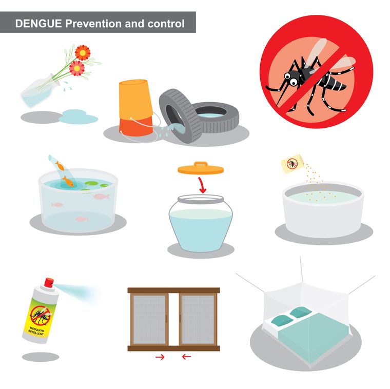 prevenir el dengue en casa