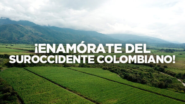 Proyectos-de-vivienda-nueva-en-el-Valle-del-Cauca