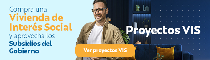 proyectos vis 2025