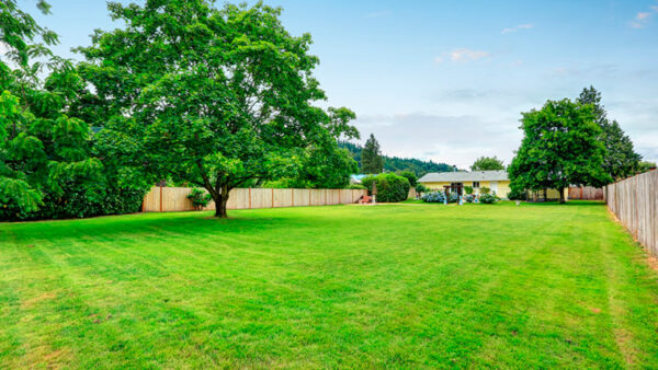 comprar-lote-terreno-con-exito