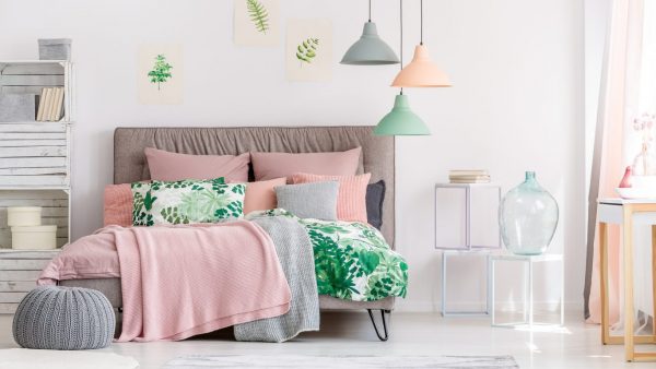 habitacion 2019